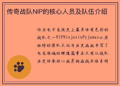 传奇战队NIP的核心人员及队伍介绍